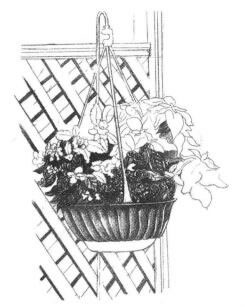 私家小院素描画法步骤04