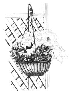 私家小院素描画法步骤05