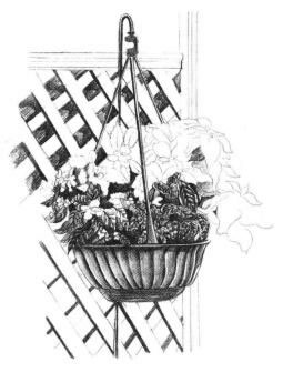 私家小院素描画法步骤06