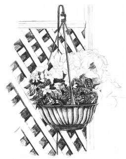 私家小院素描画法步骤07