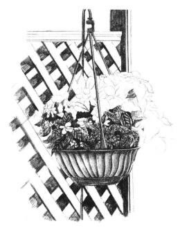 私家小院素描画法步骤08