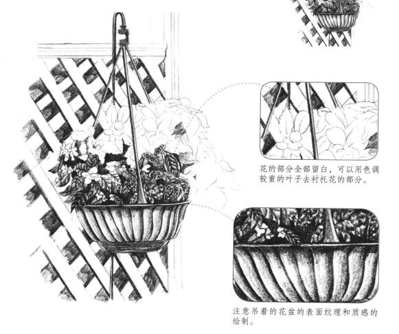 私家小院素描画法步骤