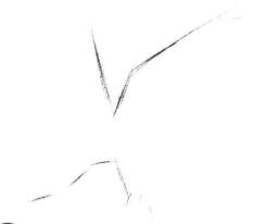 植物公园素描画法步骤01