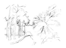 植物公园素描画法步骤03