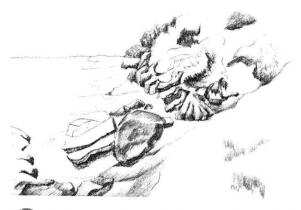 海边景色素描画法步骤06