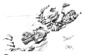 海边景色素描画法步骤07