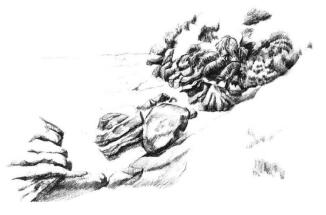 海边景色素描画法步骤08