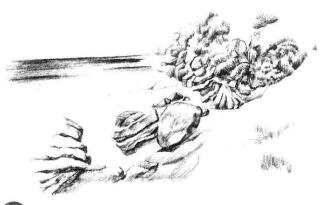 海边景色素描画法步骤09