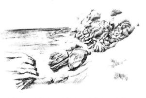 海边景色素描画法步骤10