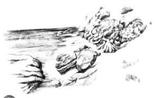 海边景色素描画法步骤11