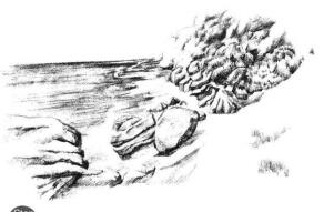 海边景色素描画法步骤12