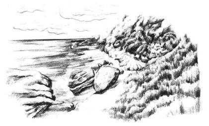 海边景色素描画法步骤15
