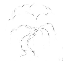 柳树素描画法步骤01
