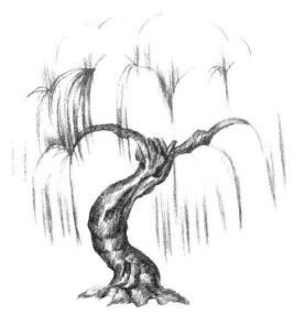 柳树素描画法步骤02