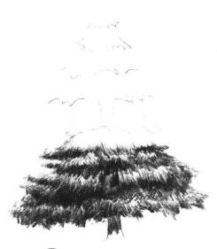 圣诞树素描画法步骤03