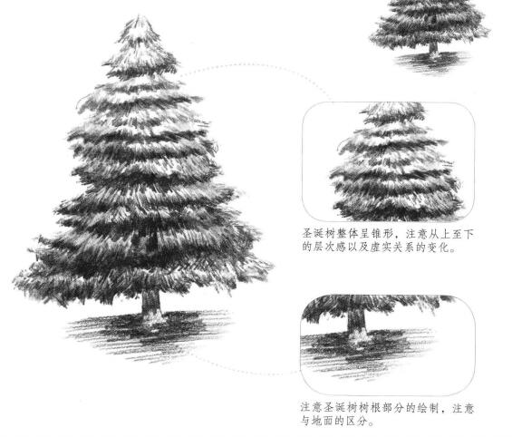 圣诞树素描画法