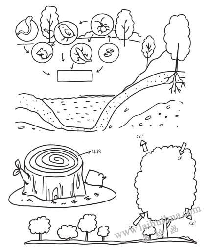风景简笔画在教学中的运用01