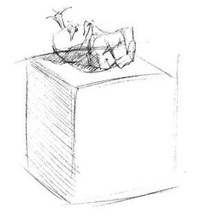 仙人掌素描画法步骤02