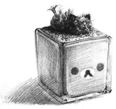仙人掌素描画法步骤06