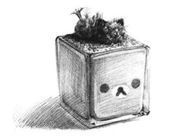 仙人掌素描画法