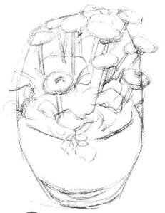小盆栽雏菊素描画法步骤02