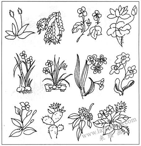 点、线、面、体综合造型方法，简笔画