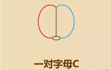 加菲猫头像简笔画画法步骤02
