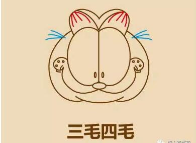 加菲猫头像简笔画画法步骤08