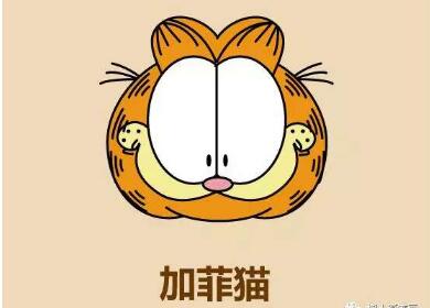 加菲猫头像简笔画画法步骤10