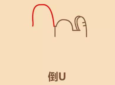 史努比简笔画画法步骤05