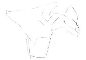 绿萝的素描画法步骤01