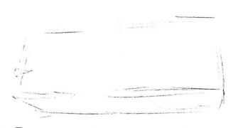 宝石花素描画法步骤01