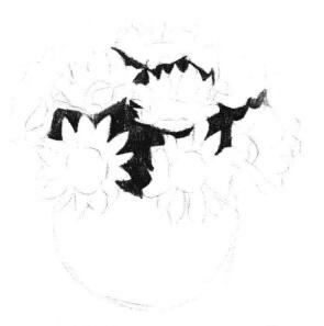 太阳花素描画法步骤02