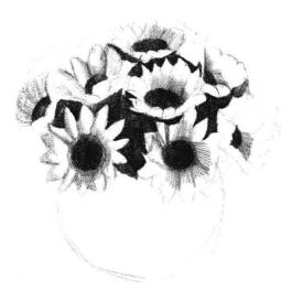 太阳花素描画法步骤03