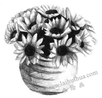 太阳花素描画法步骤05