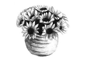 太阳花素描画法