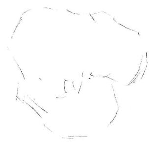 绢花素描画法步骤（京花素描画法步骤）01