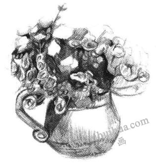 绢花素描画法步骤（京花素描画法步骤）05