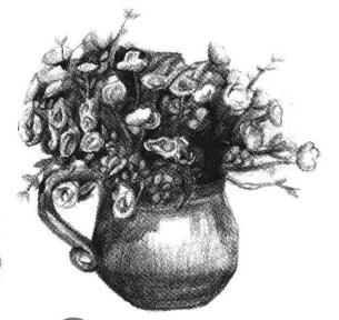 绢花素描画法步骤（京花素描画法步骤）06