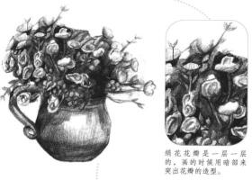 绢花素描画法