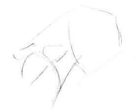 白玟瑰素描画法步骤01