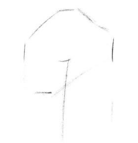 海棠花素描画法步骤01