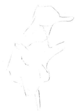 紫罗兰素描画法步骤01