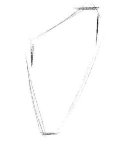 咖啡叶素描画法步骤01