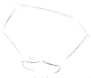 瓶子草素描画法步骤01