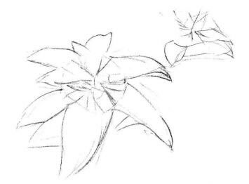 希美丽素描画法步骤01