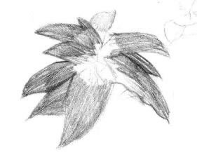 希美丽素描画法步骤03