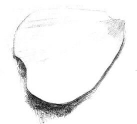 玫瑰花瓣素描画法步骤03