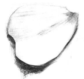 玫瑰花瓣素描画法步骤04