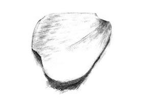 玫瑰花瓣素描画法